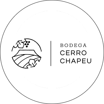 Cerro Chapeu